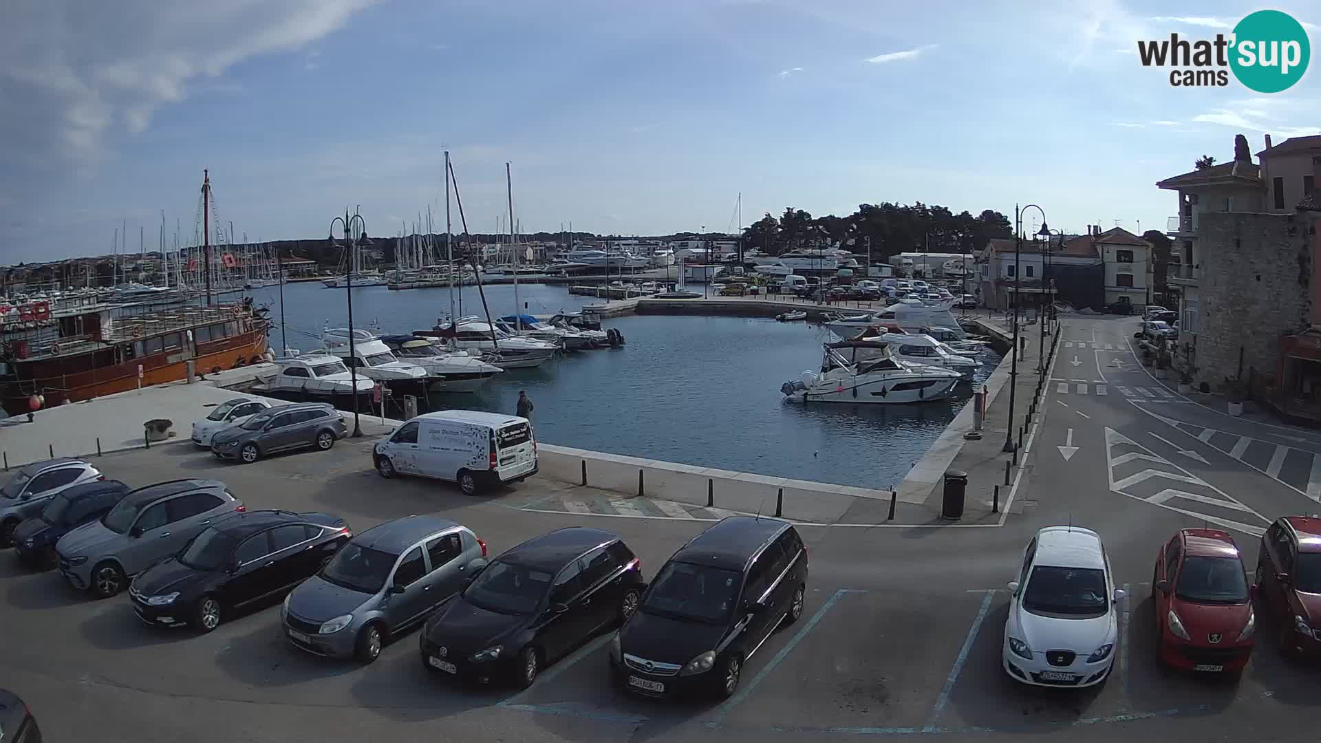 Novigrad | Porporela marina