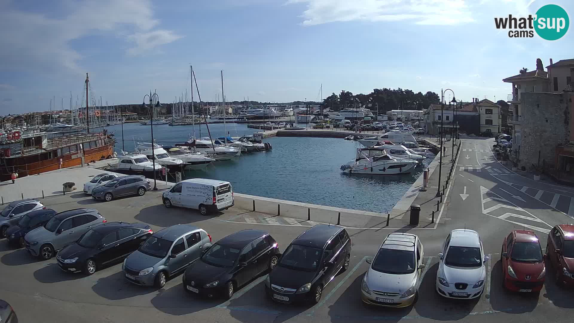 Novigrad | Porporela marina