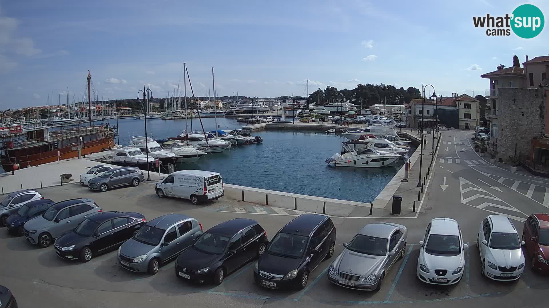 Novigrad | Porporela marina