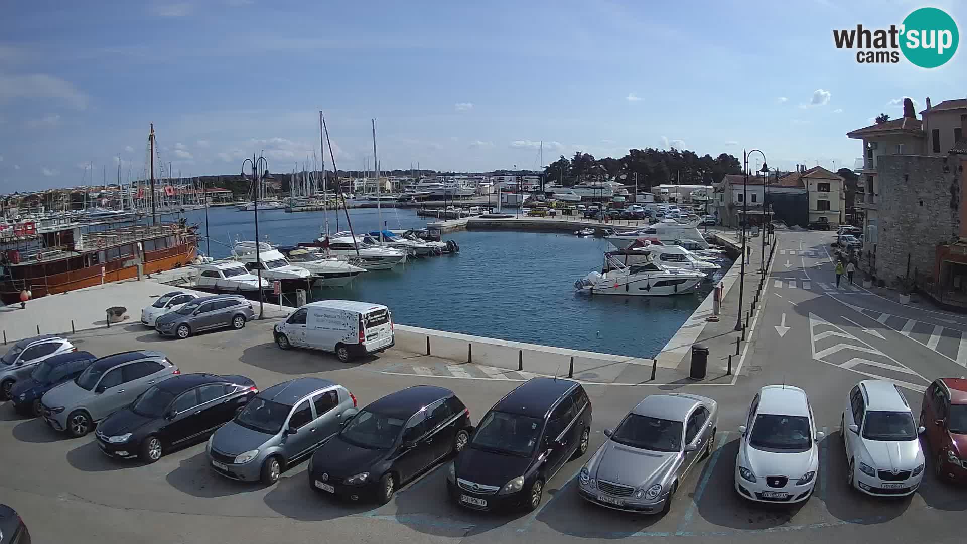 Novigrad | Porporela marina