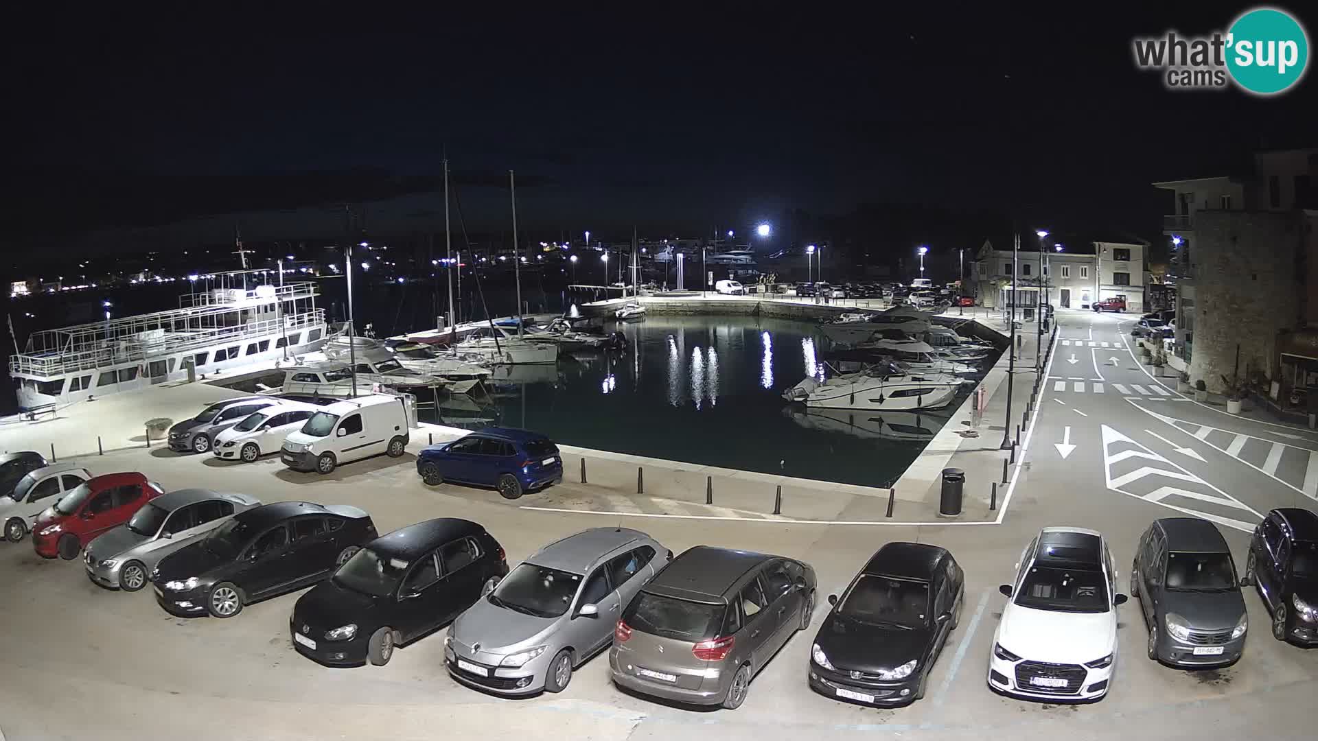 Novigrad | Porporela marina