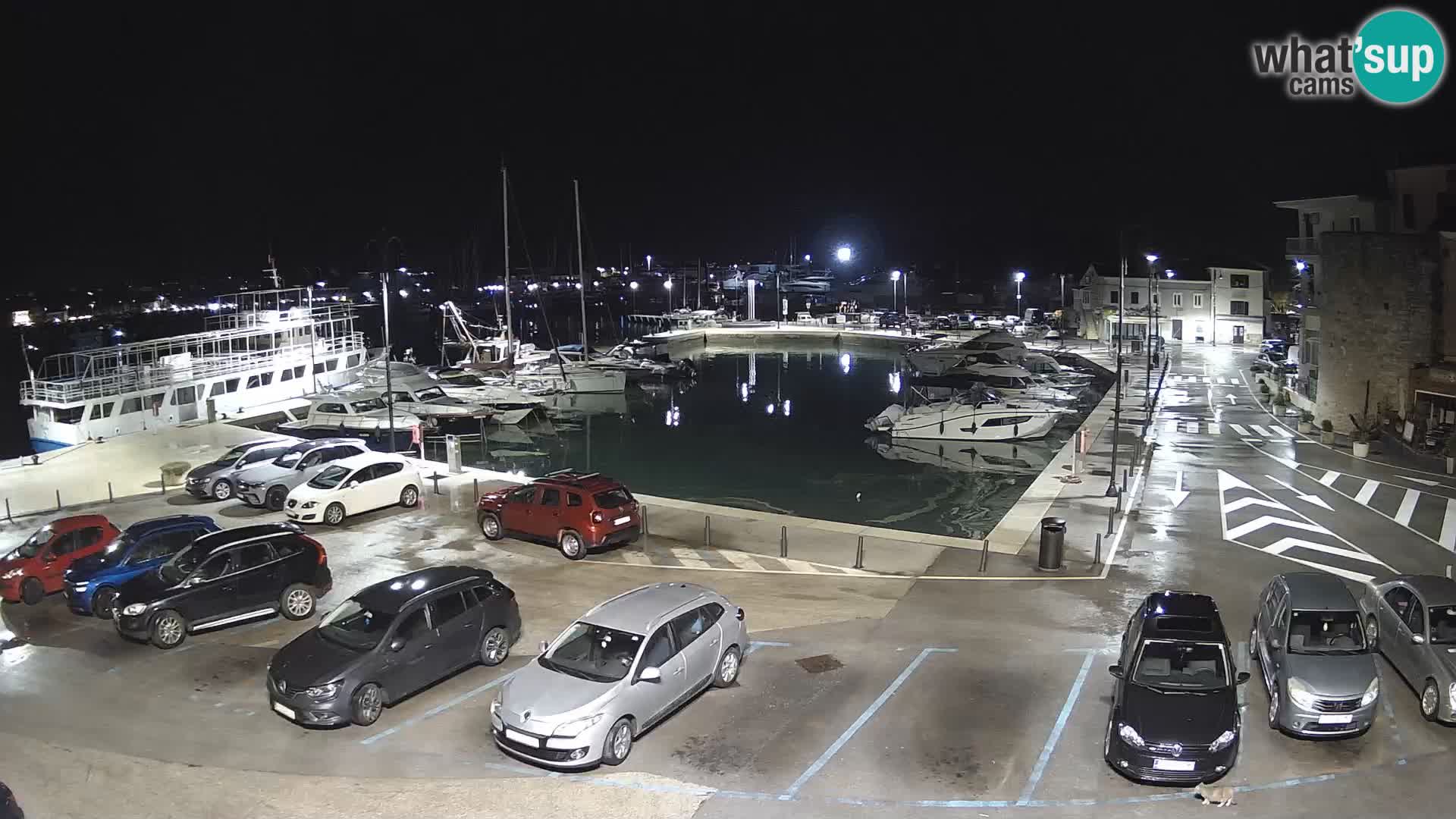 Novigrad | Porporela marina