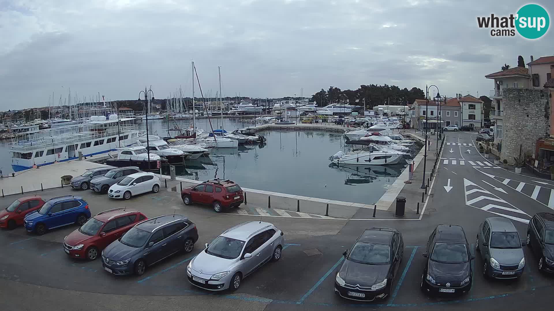 Novigrad | Porporela marina