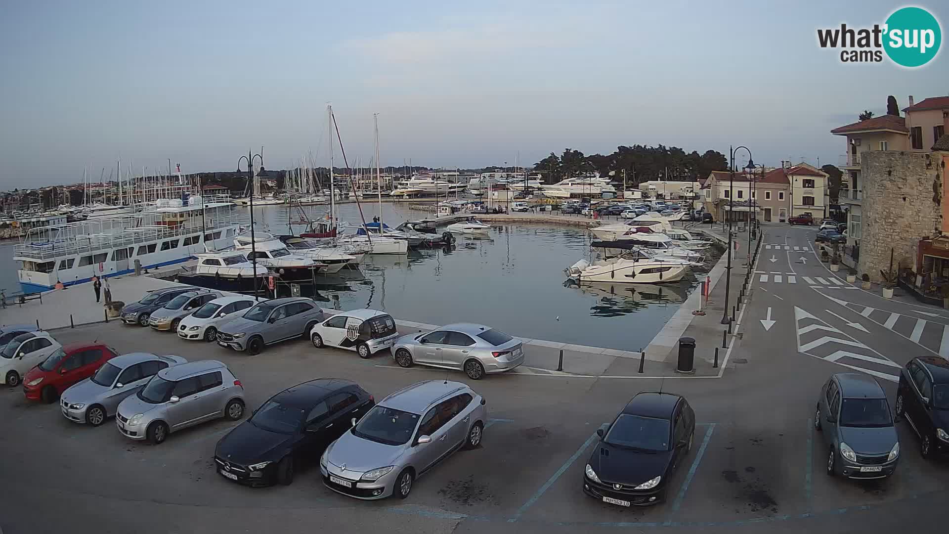 Novigrad | Porporela marina