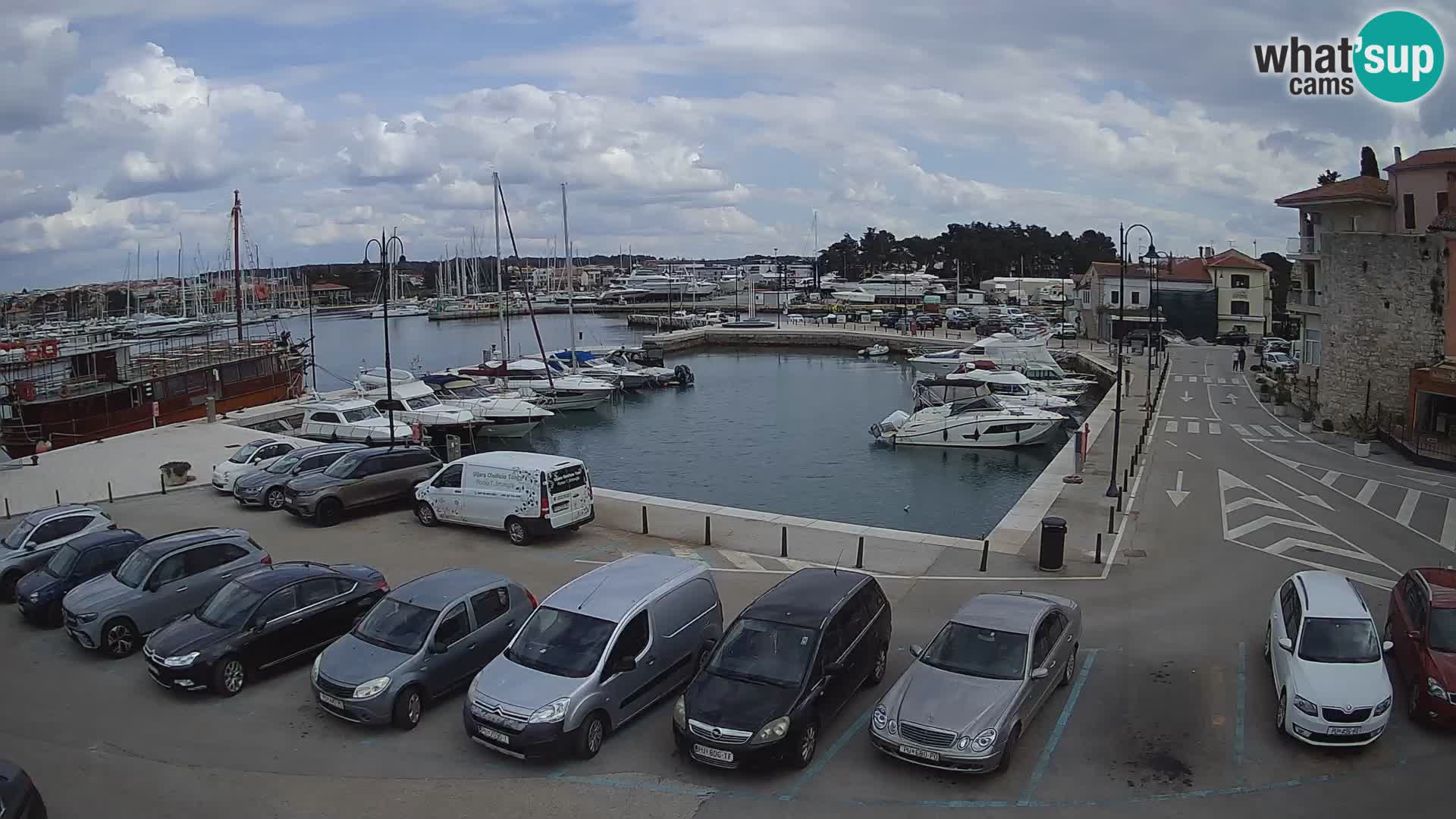 Novigrad | Porporela marina