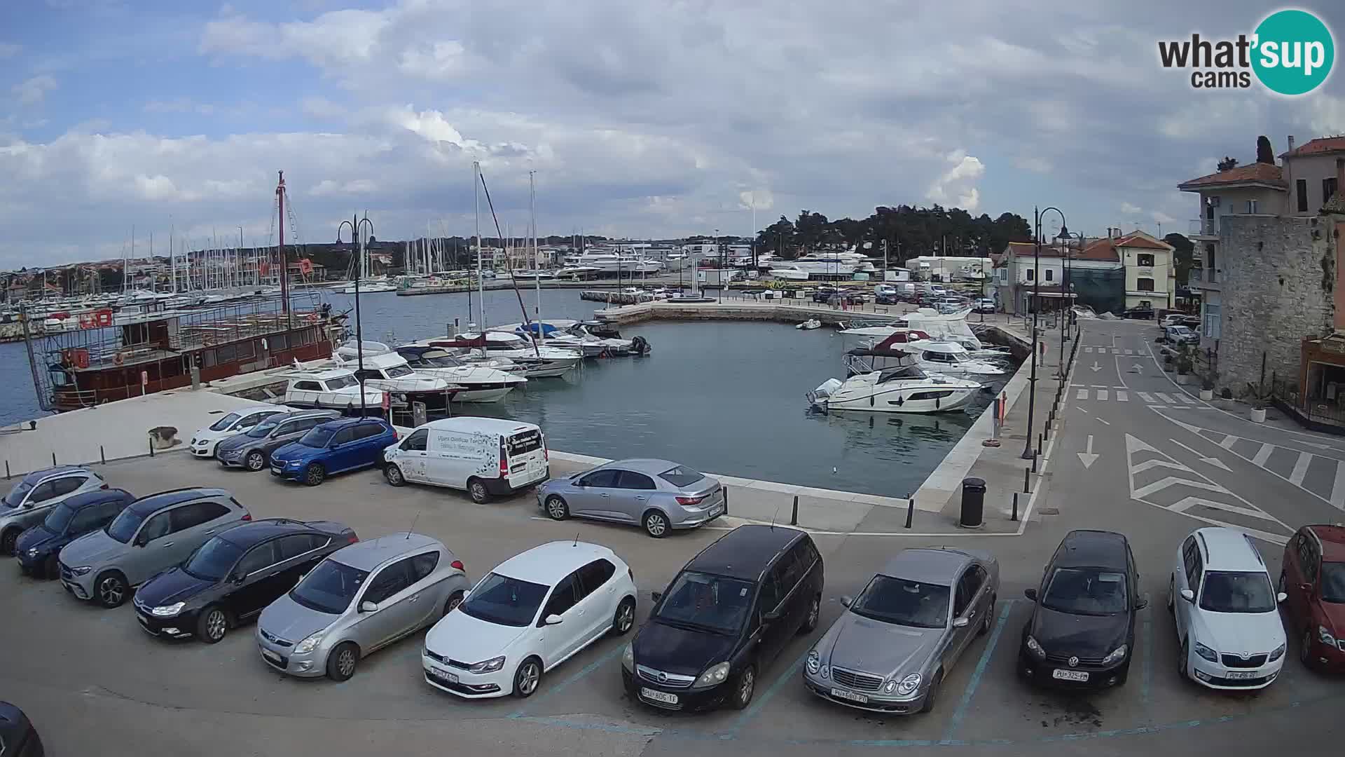 Novigrad | Porporela marina