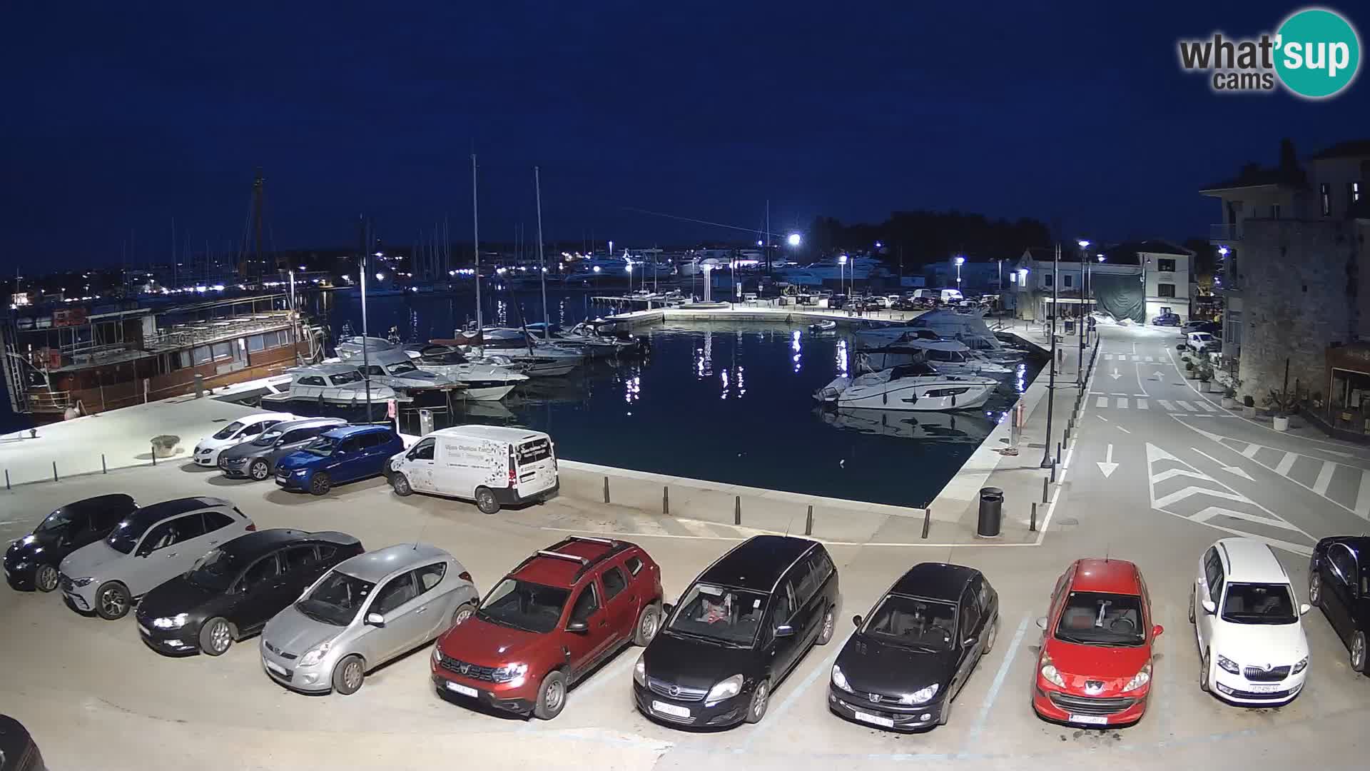 Novigrad | Porporela marina