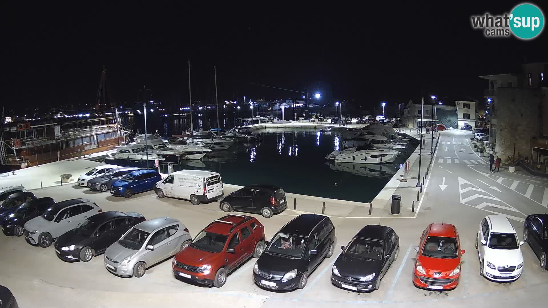 Novigrad | Porporela marina