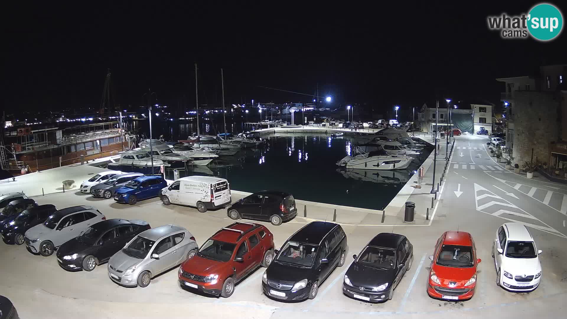 Novigrad | Porporela marina