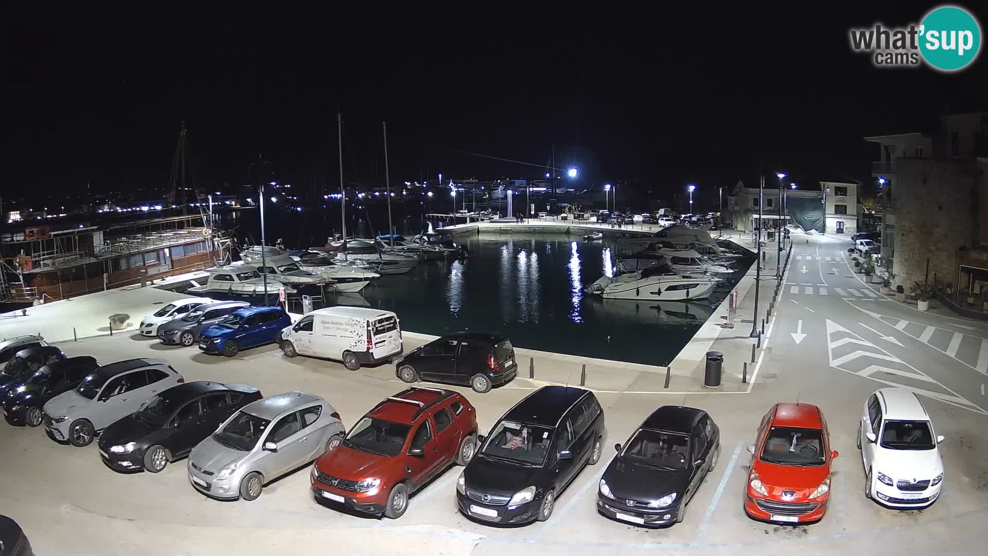 Novigrad | Porporela marina