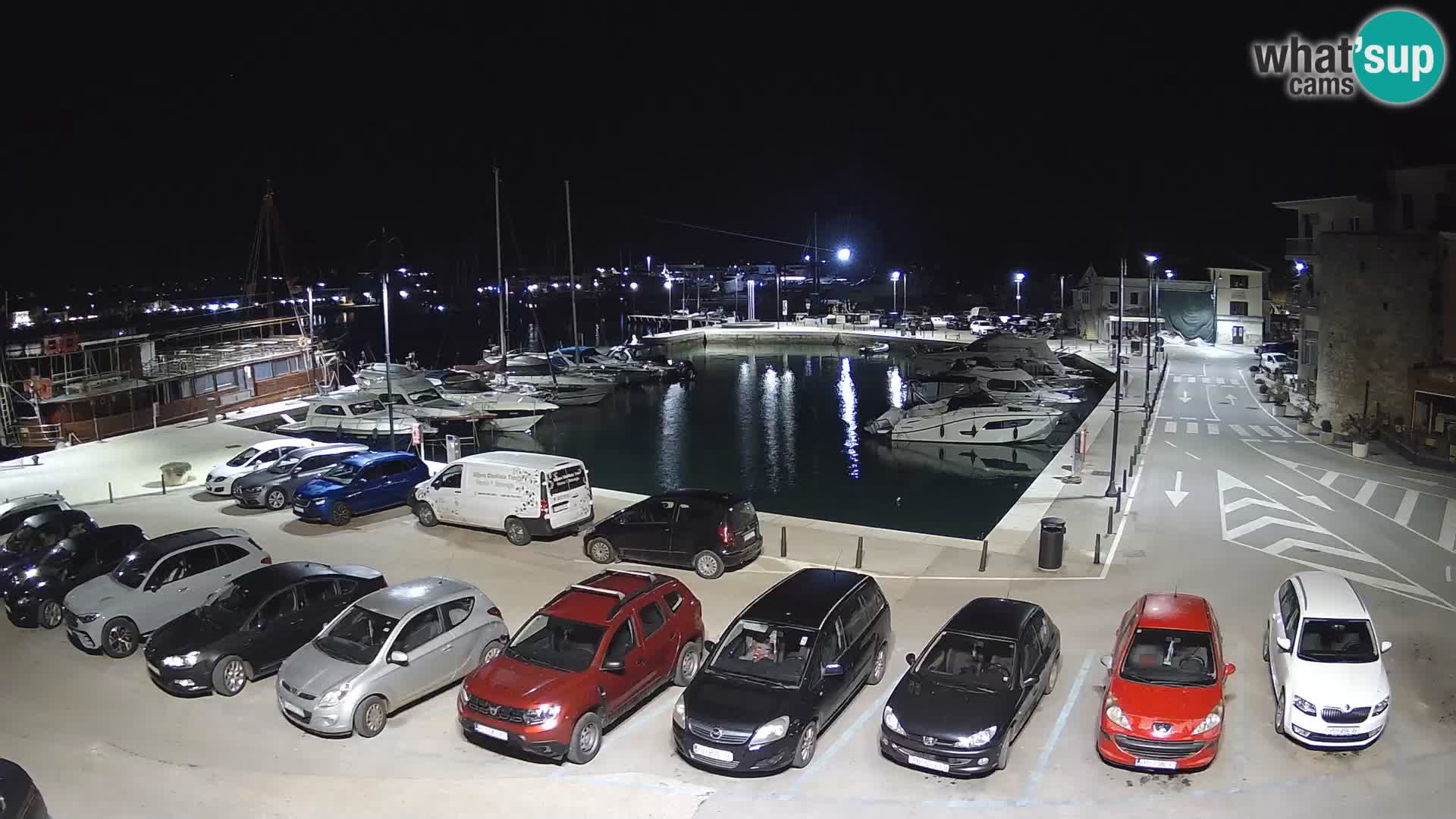 Novigrad | Porporela marina