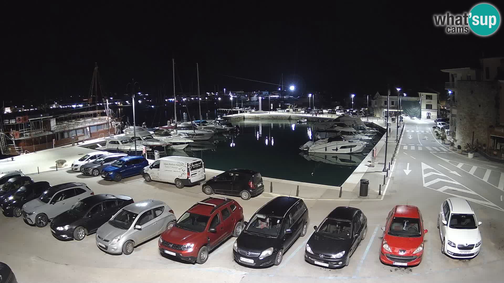 Novigrad | Porporela marina