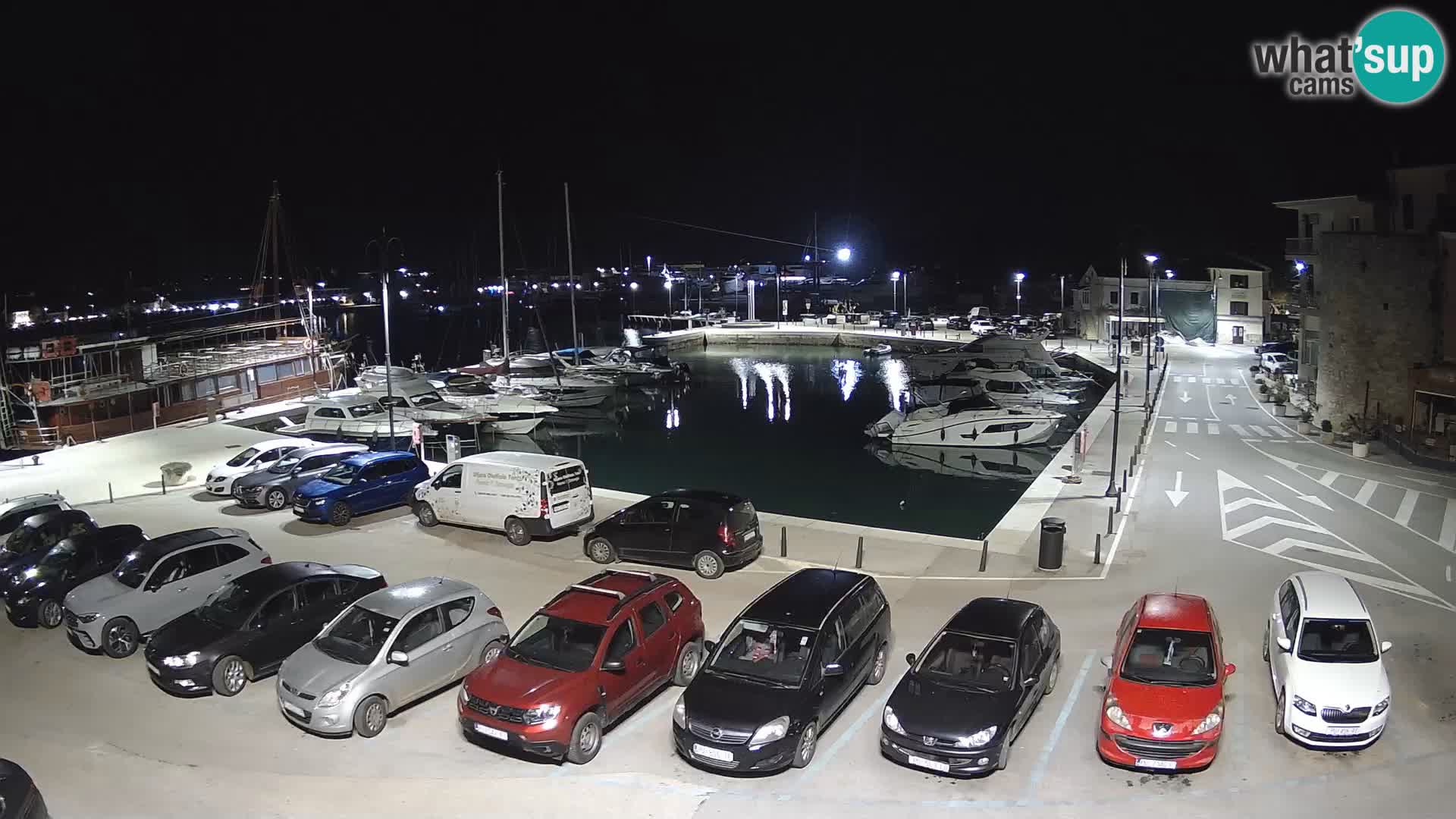 Novigrad | Porporela marina