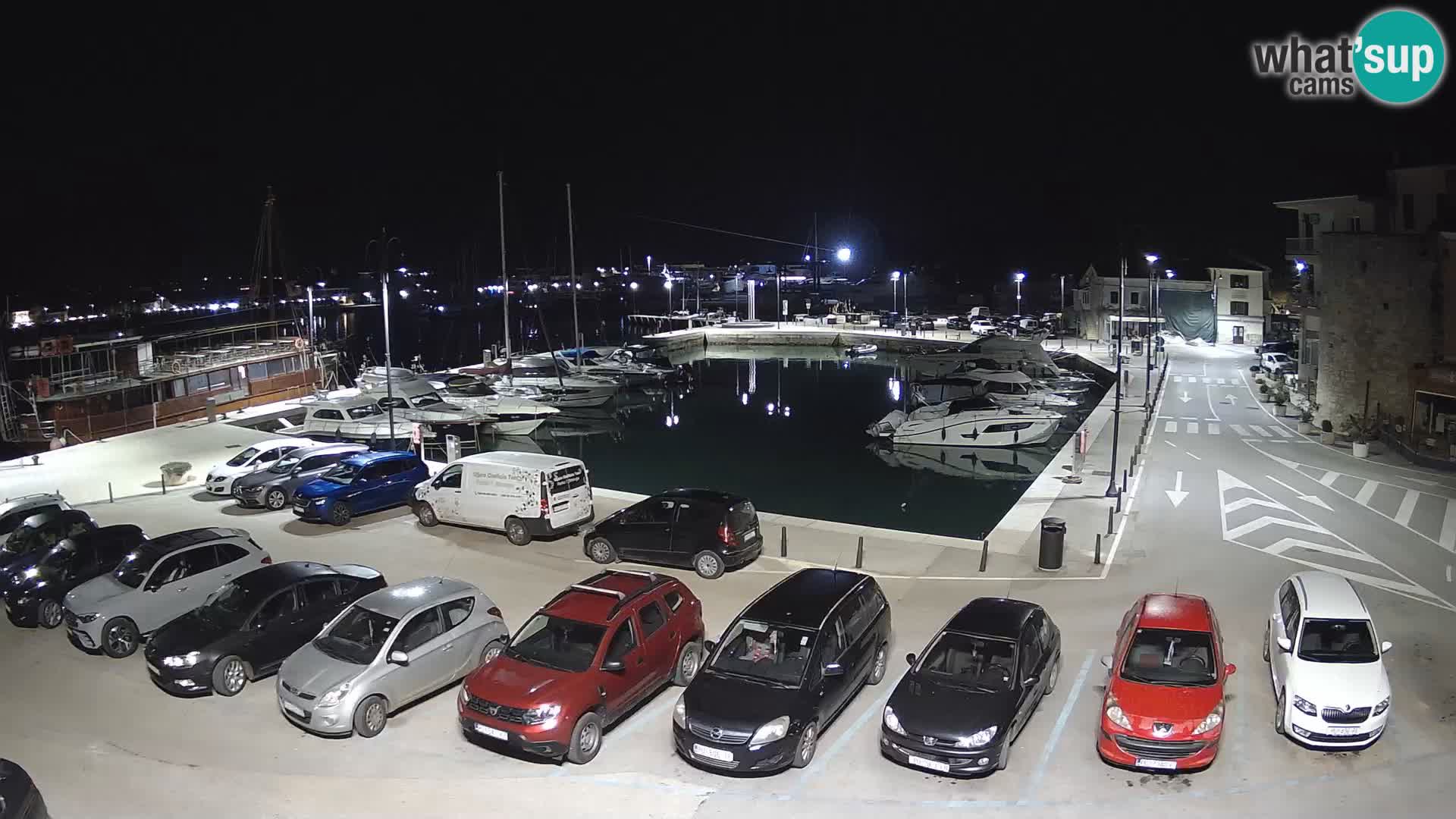 Novigrad | Porporela marina