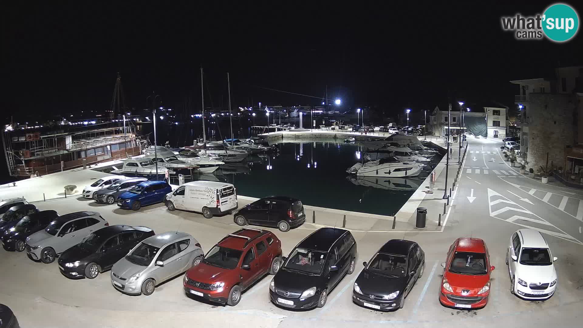 Novigrad | Porporela marina