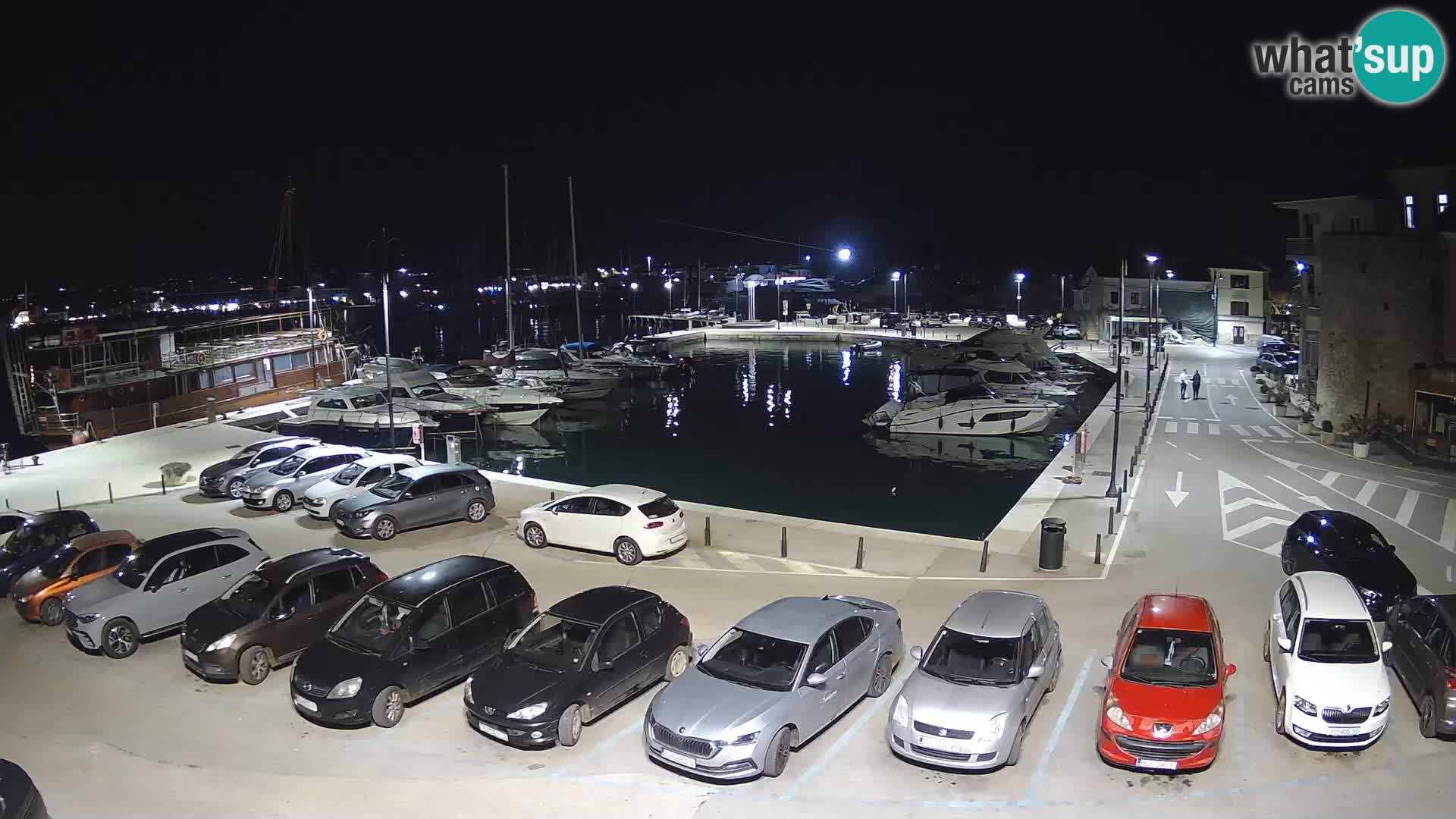 Novigrad | Porporela marina