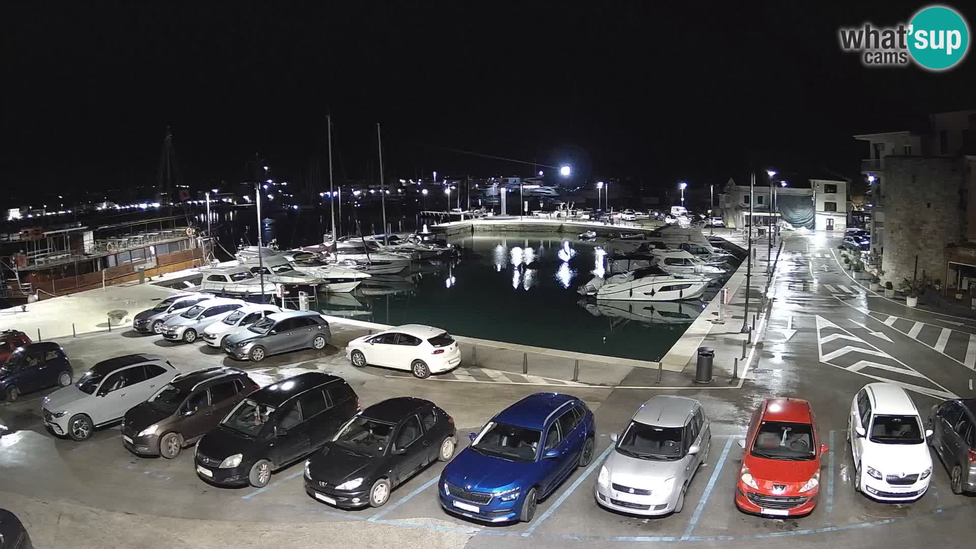 Novigrad | Porporela marina