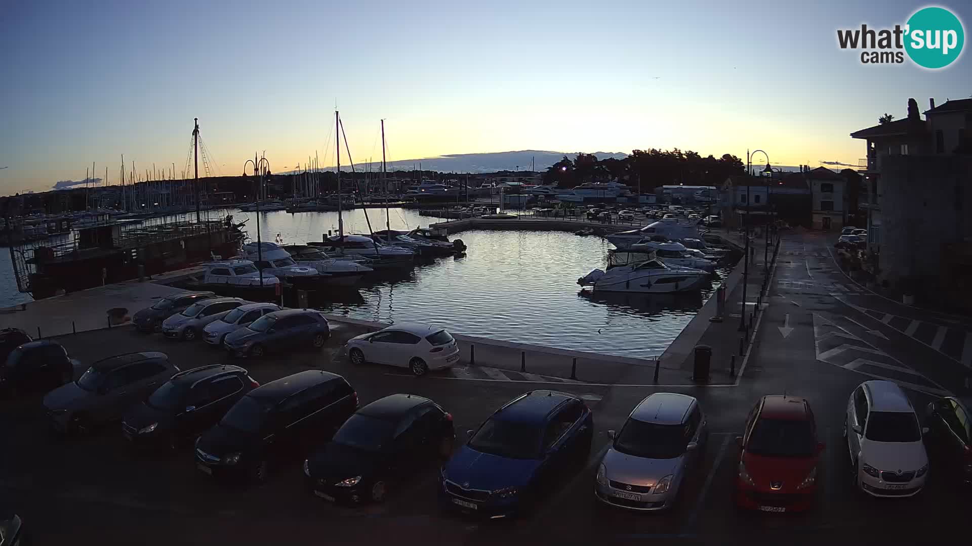 Novigrad | Porporela marina