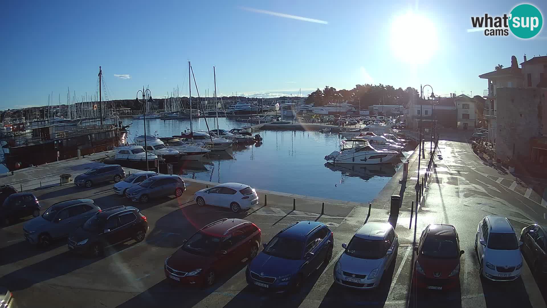 Novigrad | Porporela marina