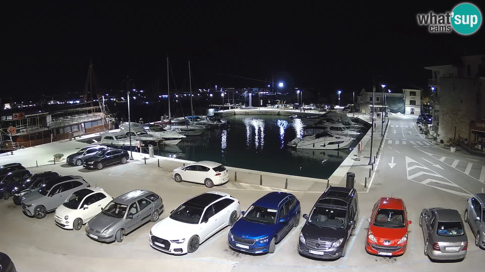 Novigrad | Porporela marina