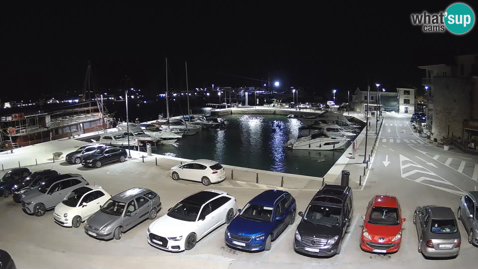 Novigrad | Porporela marina