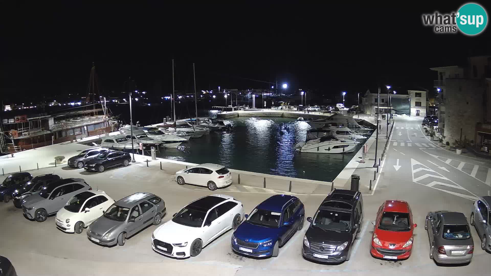 Novigrad | Porporela marina