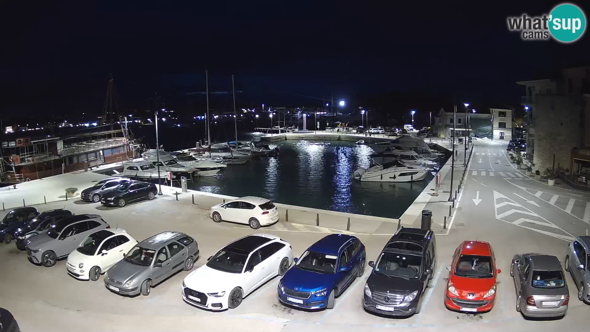 Novigrad | Porporela marina