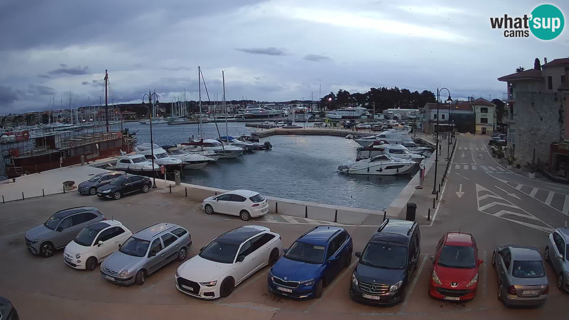 Novigrad | Porporela marina