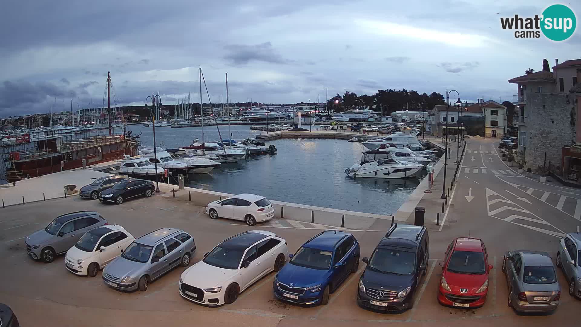 Novigrad | Porporela marina