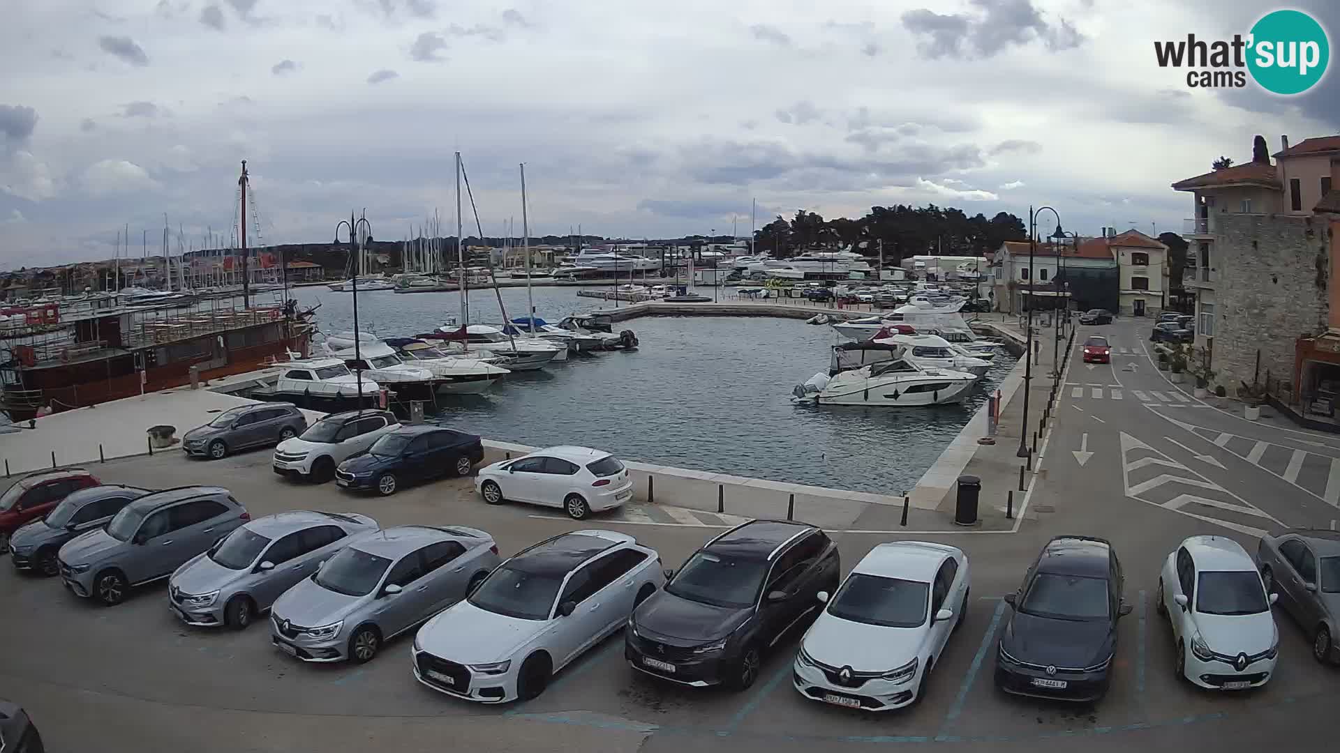 Novigrad | Porporela marina