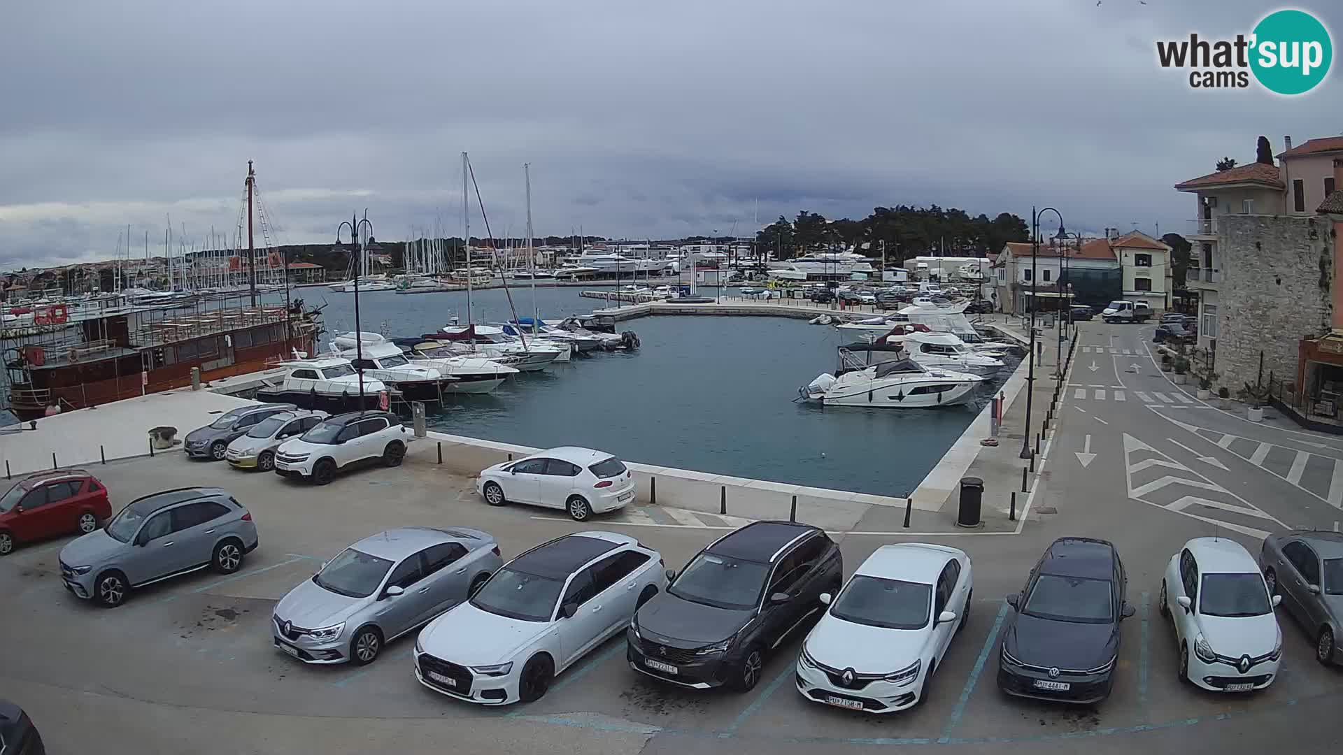 Novigrad | Porporela marina