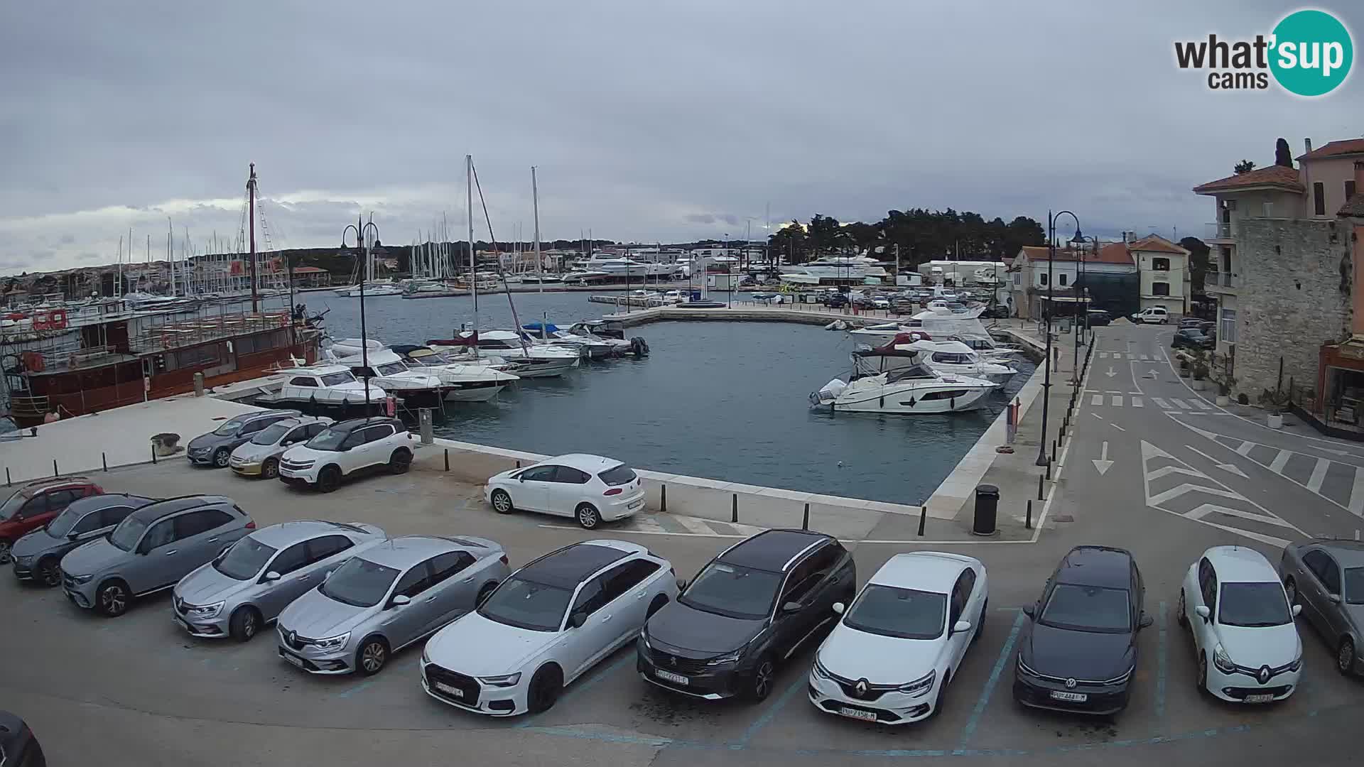 Novigrad | Porporela marina