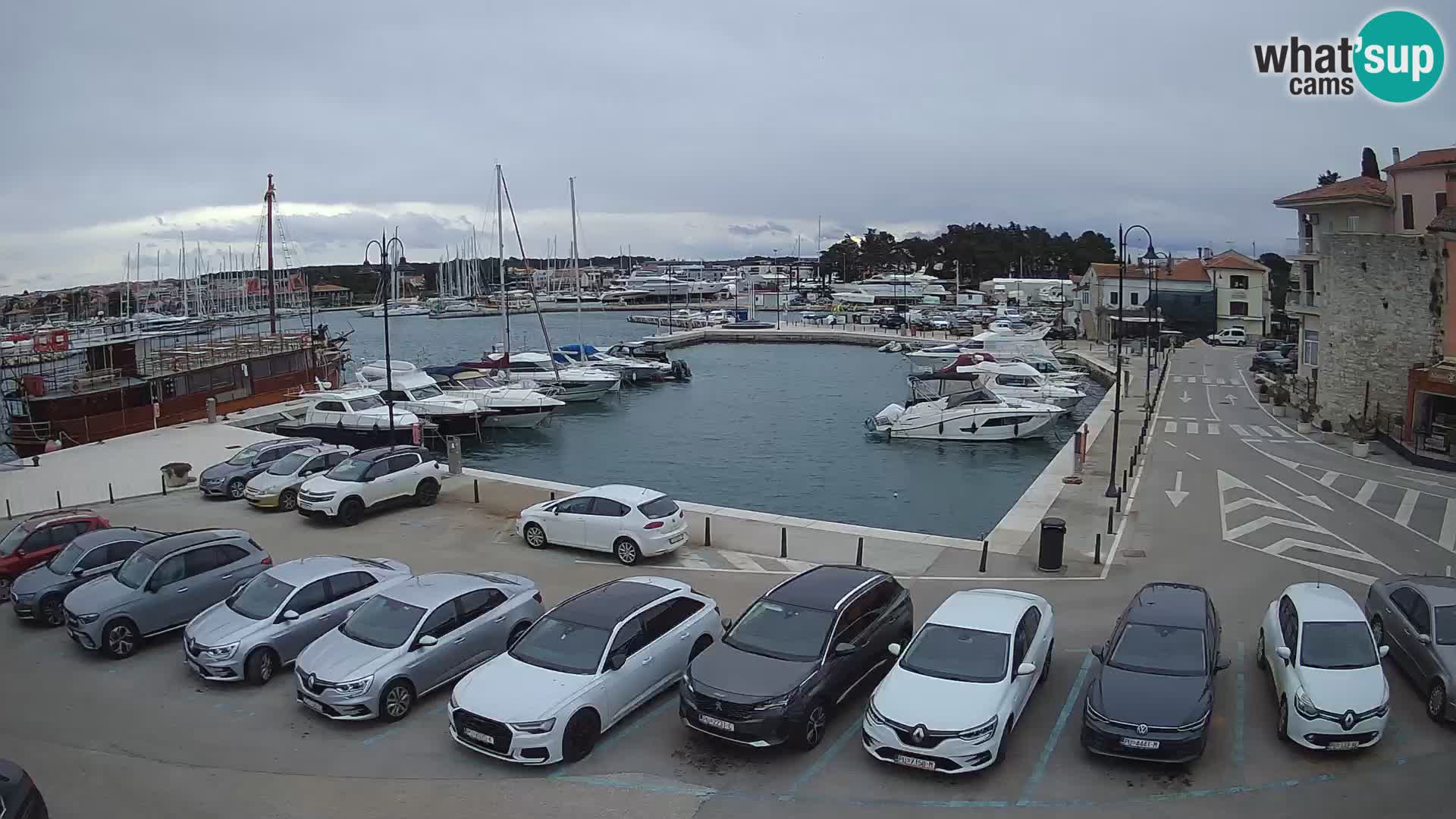 Novigrad | Porporela marina