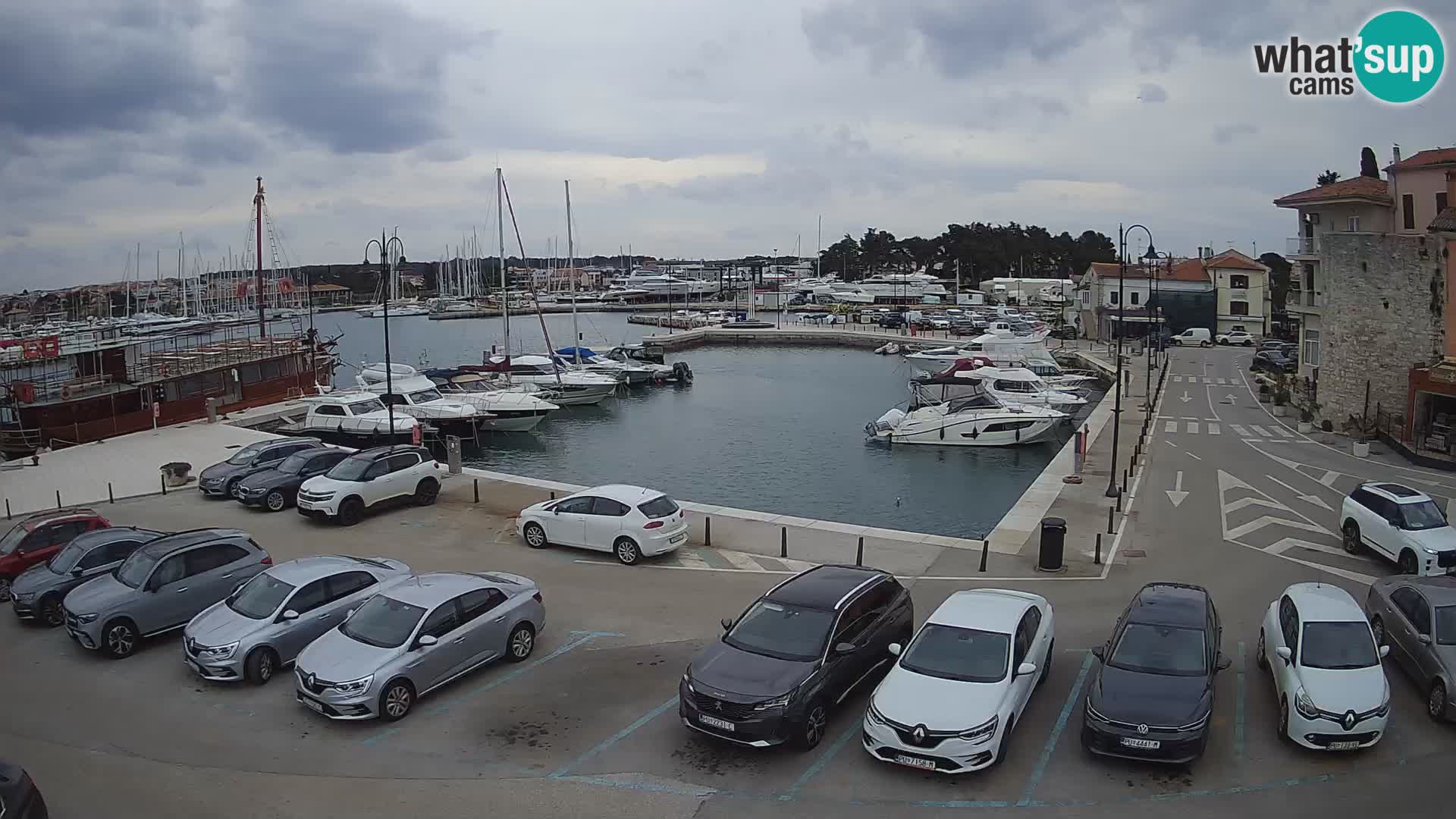 Novigrad | Porporela marina