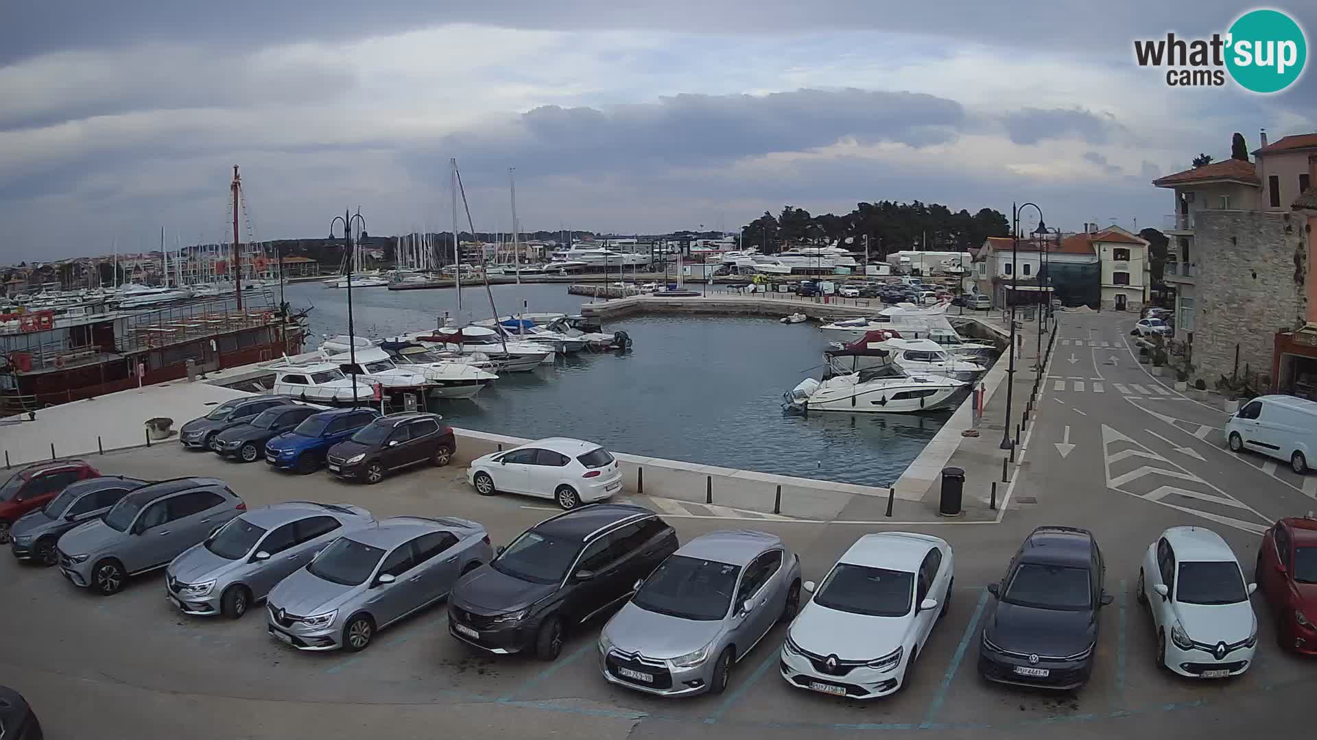 Novigrad | Porporela marina