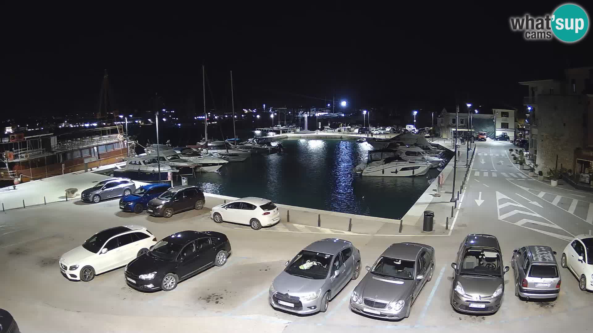 Novigrad | Porporela marina