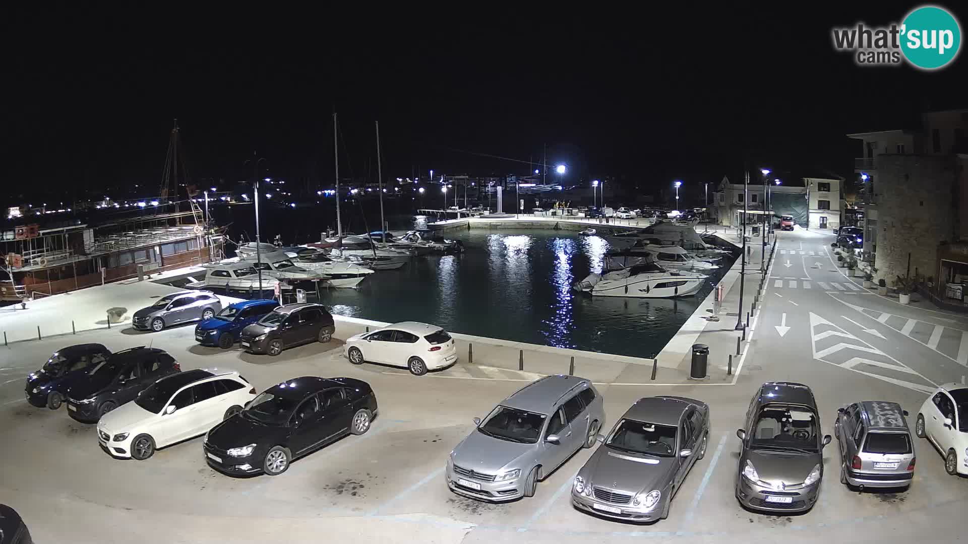 Novigrad | Porporela marina
