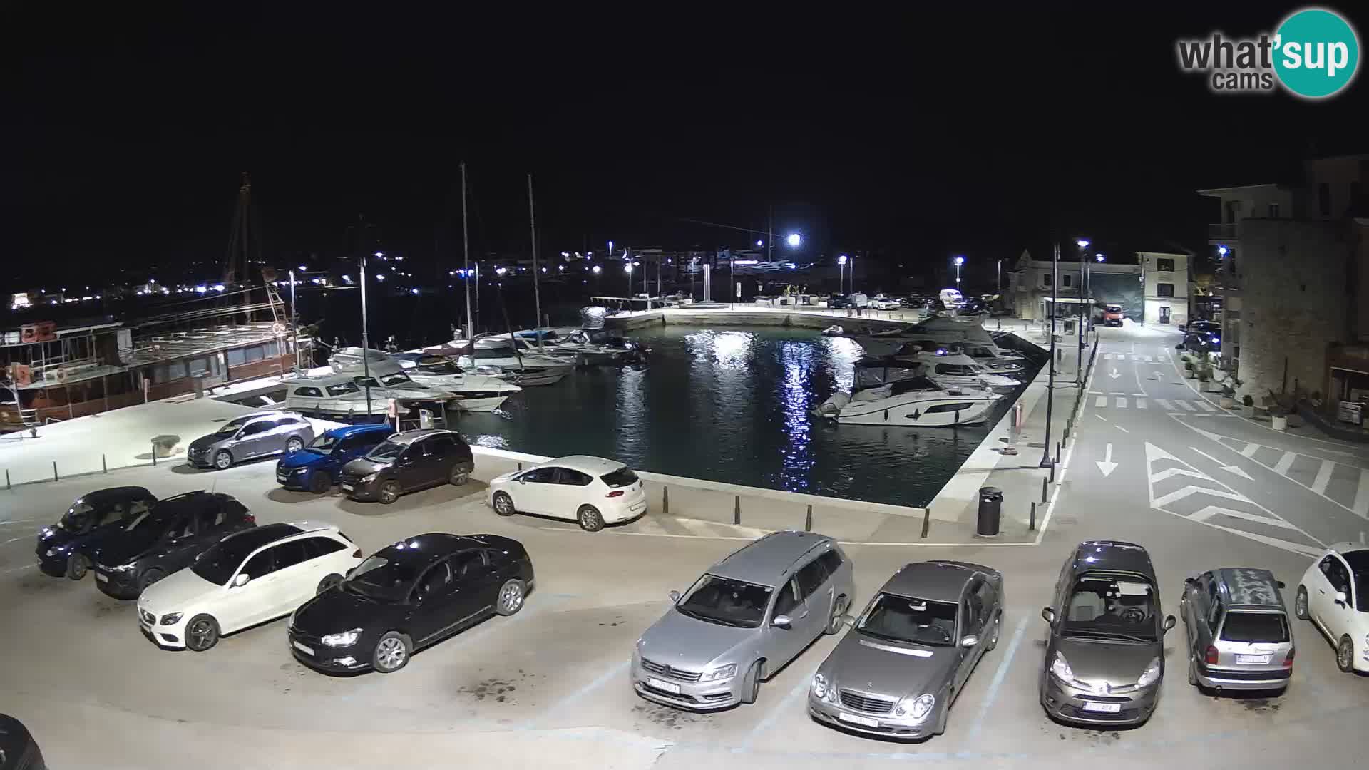 Novigrad | Porporela marina