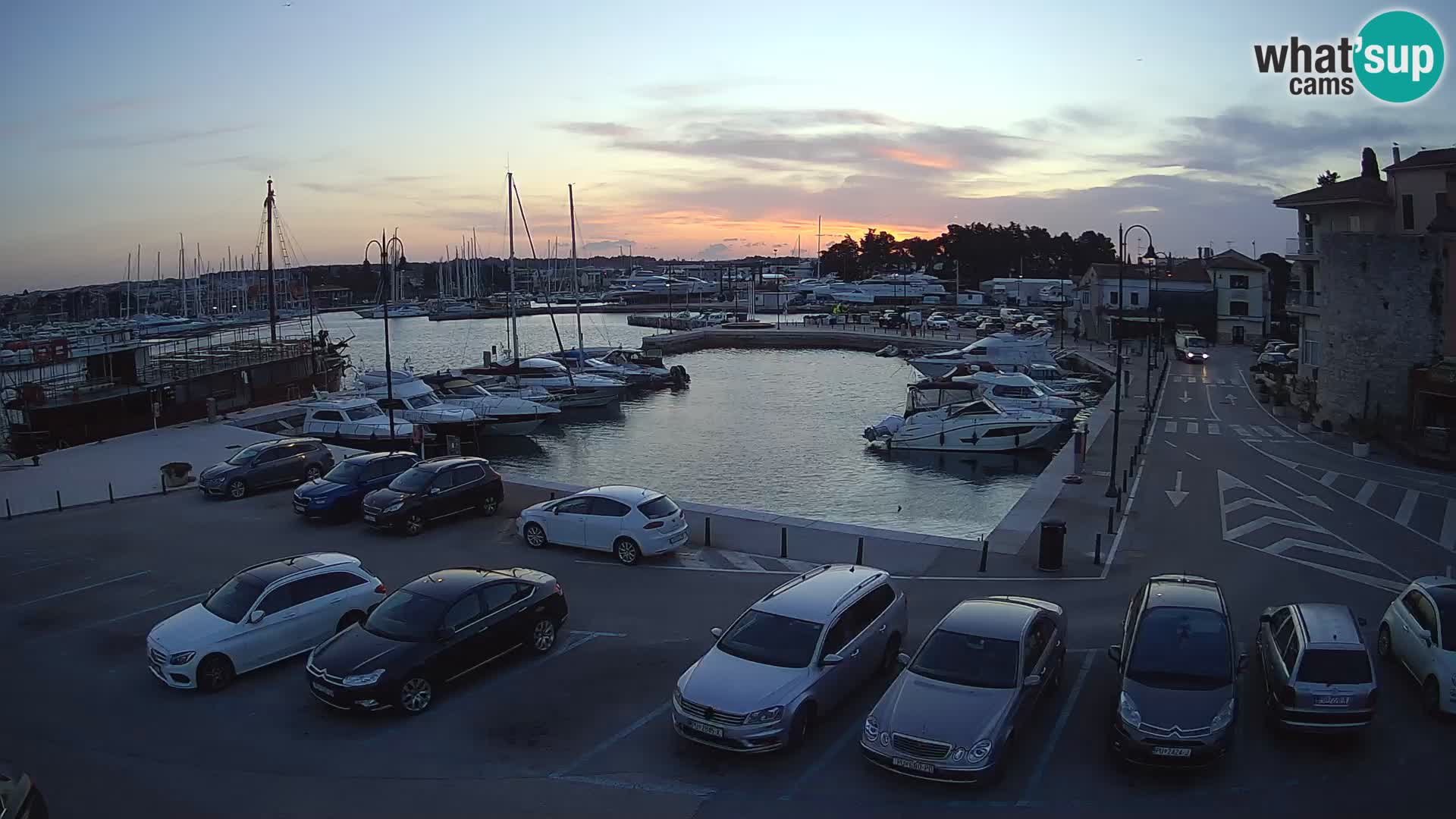 Novigrad | Porporela marina
