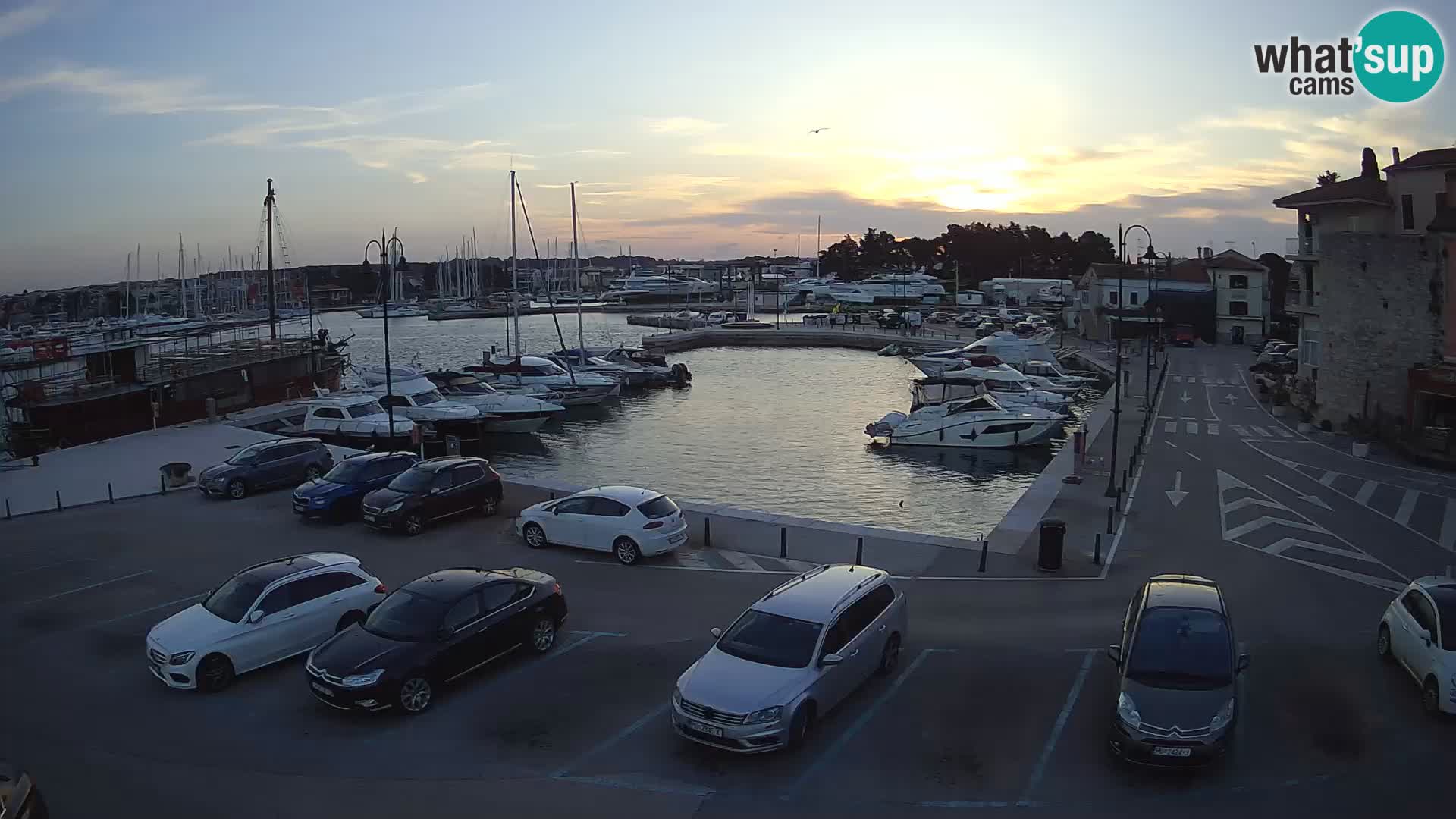 Novigrad | Porporela marina