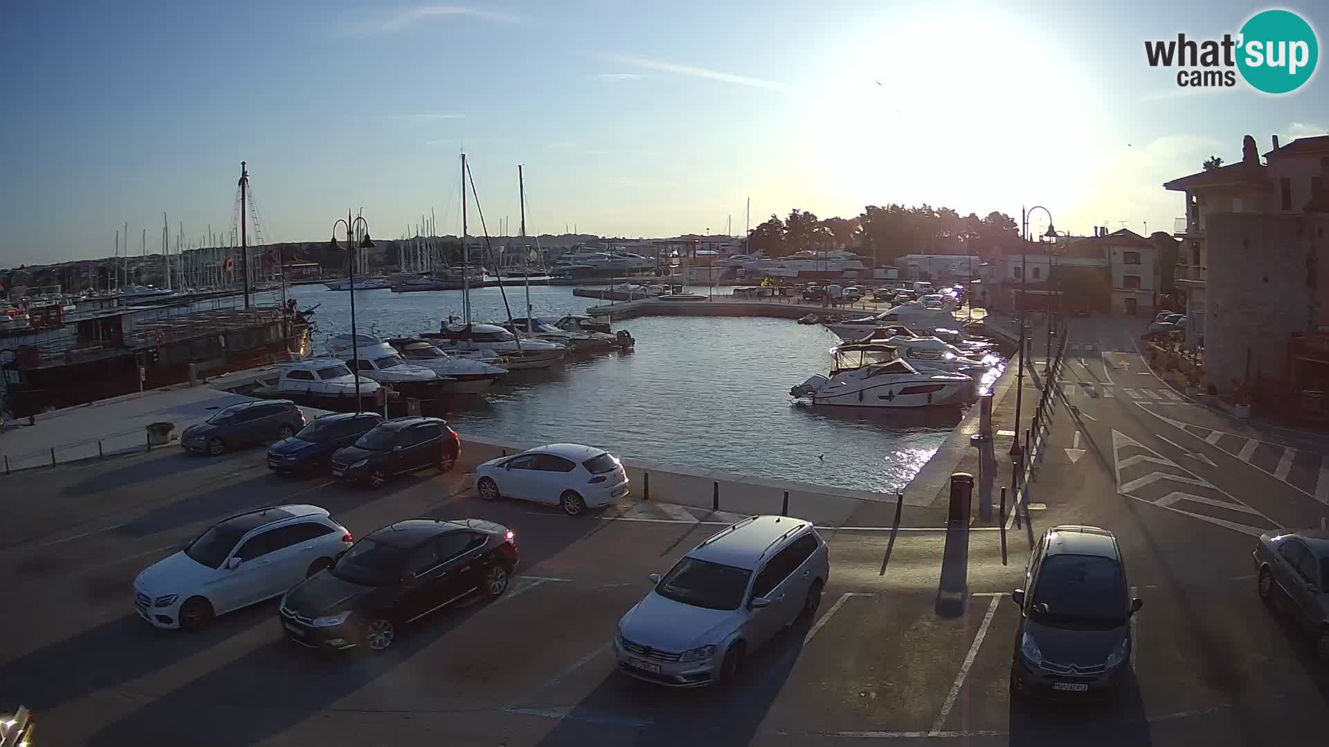 Novigrad | Porporela marina