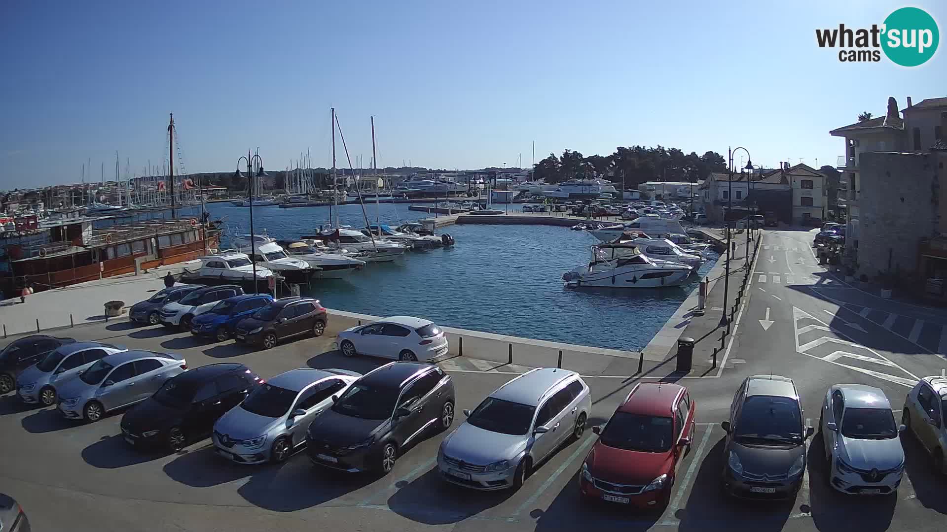 Novigrad | Porporela marina