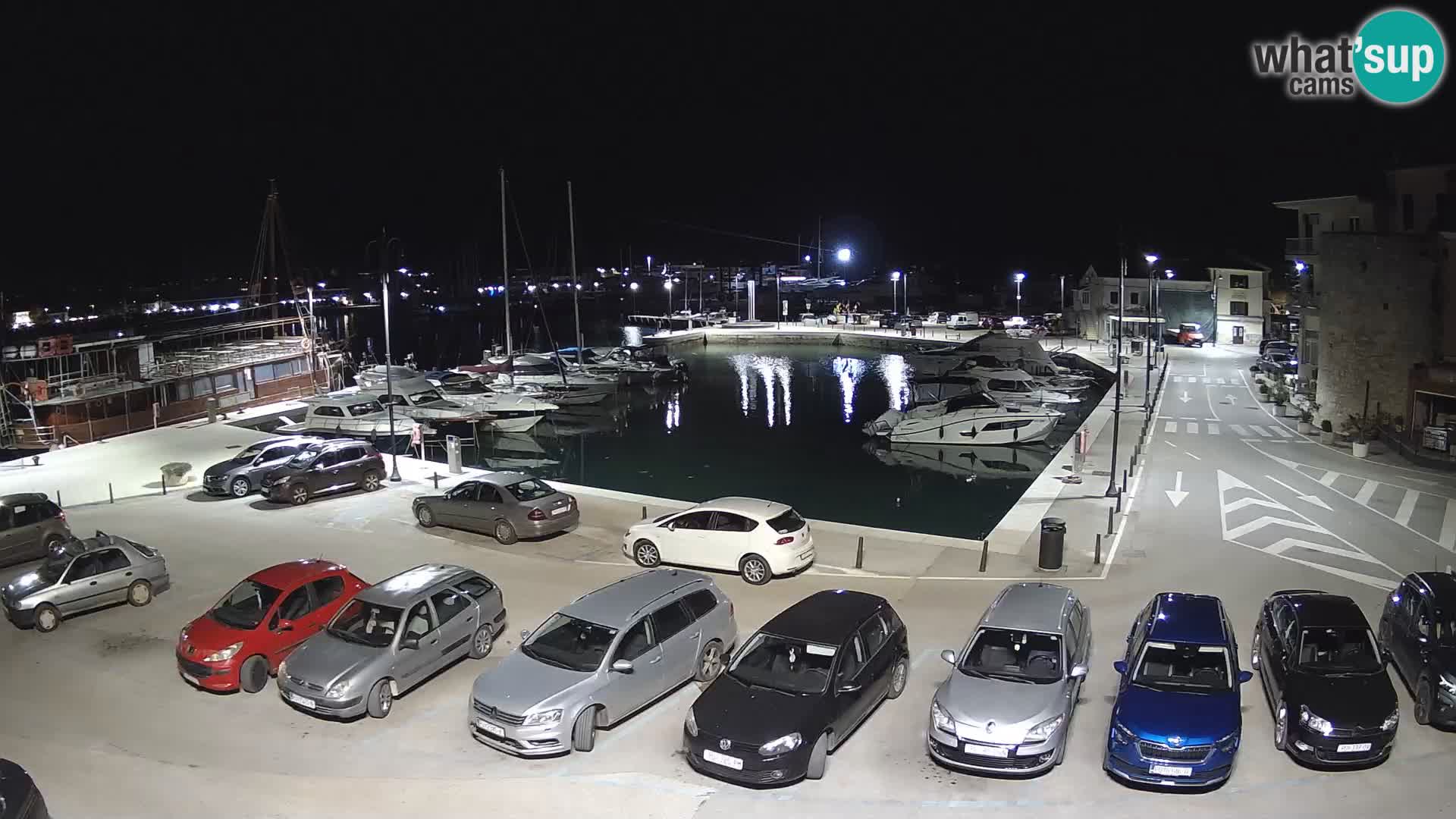 Novigrad | Porporela marina