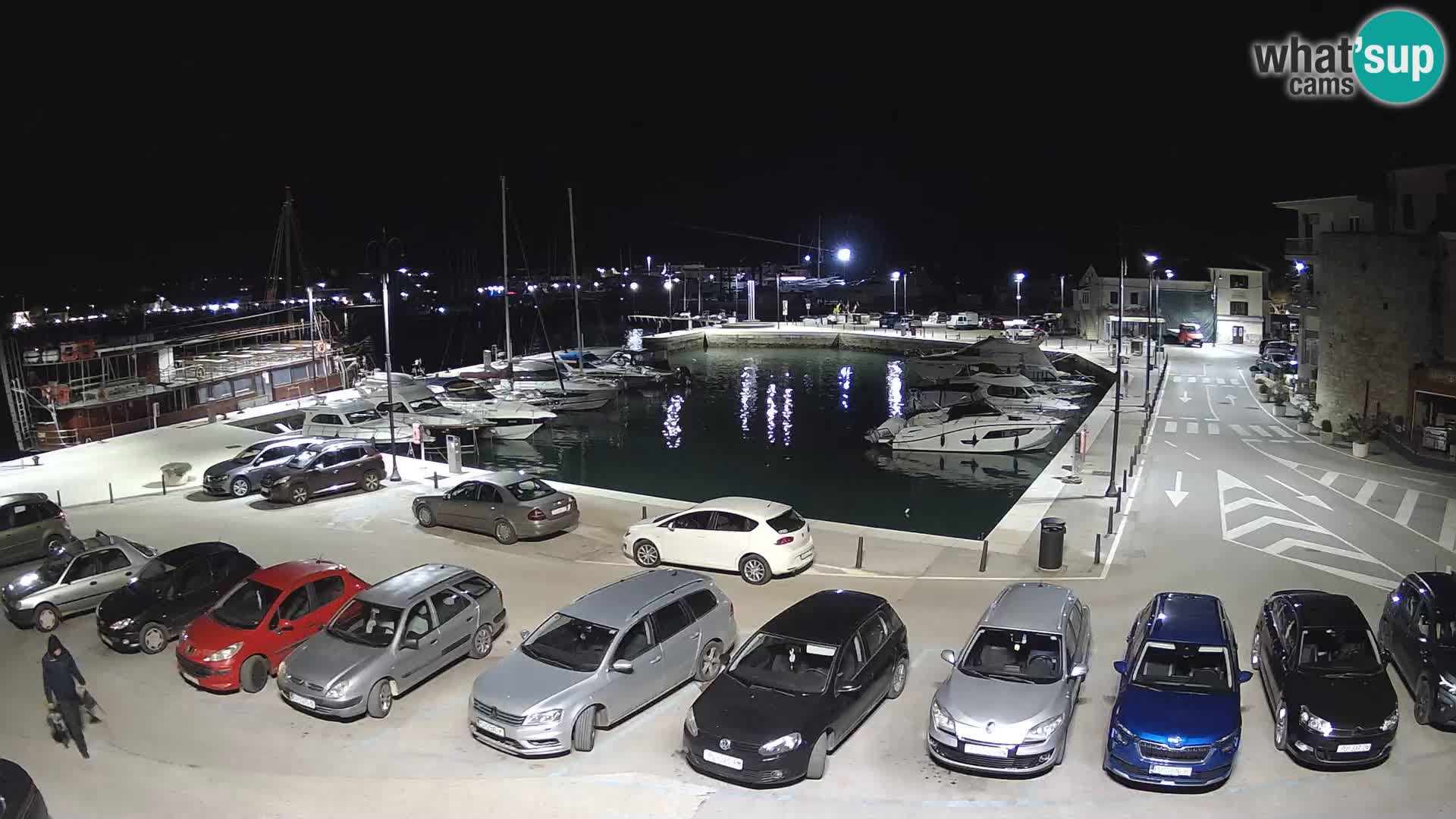 Novigrad | Porporela marina