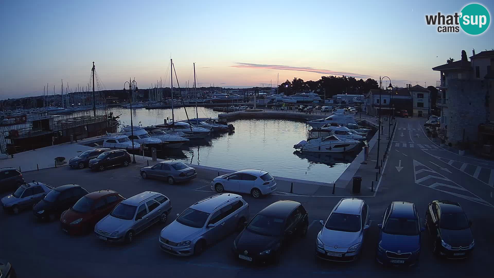 Novigrad | Porporela marina
