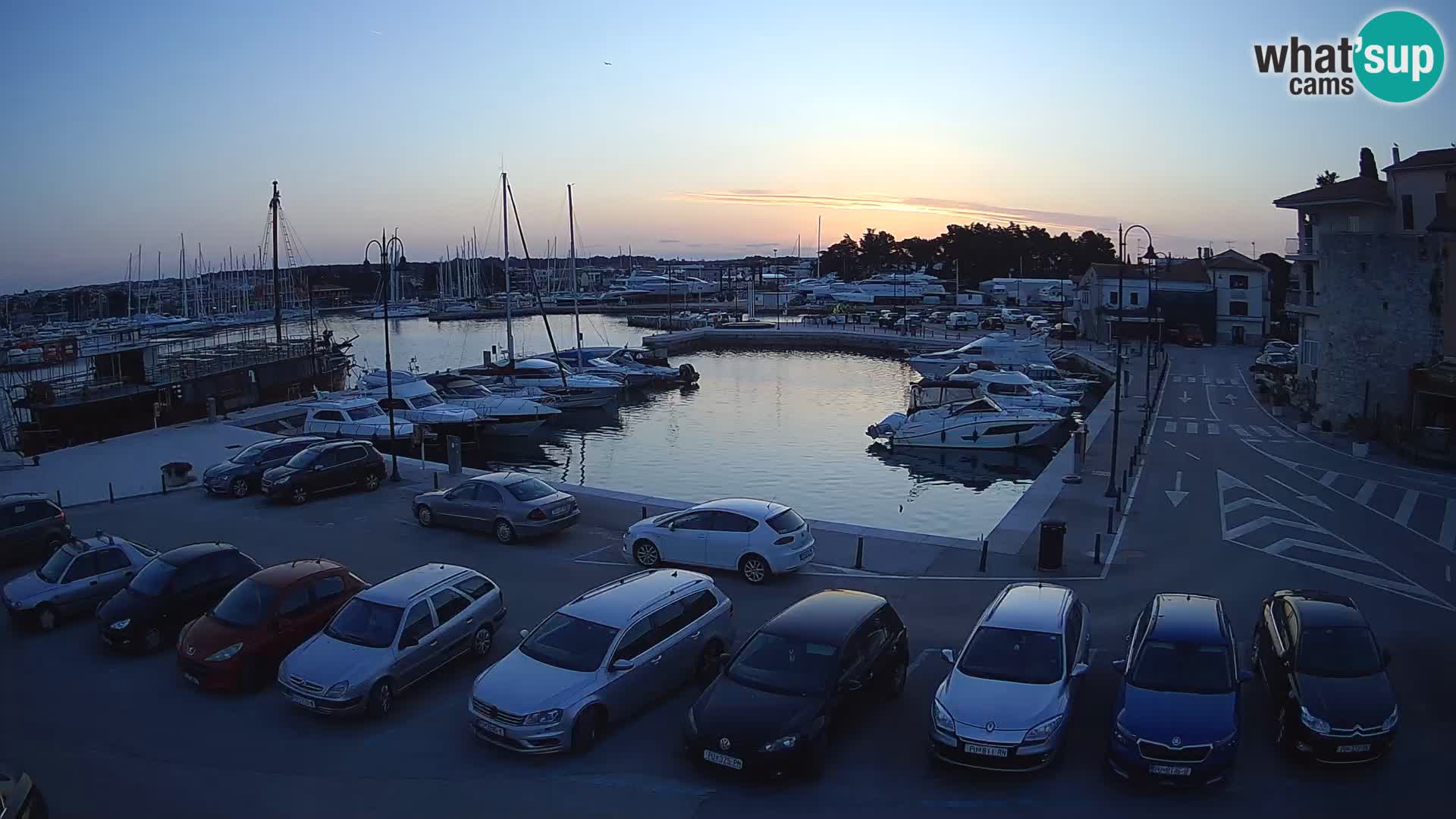 Novigrad | Porporela marina