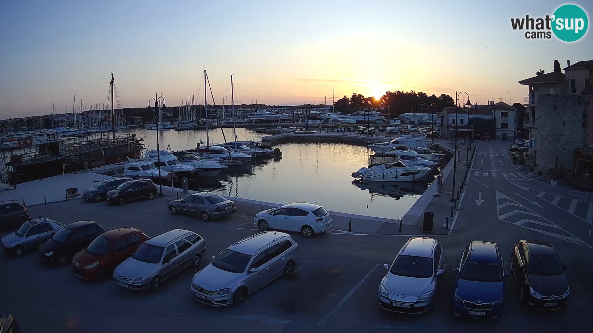Novigrad | Porporela marina