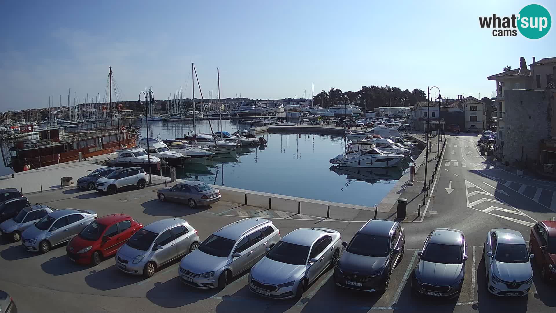 Novigrad | Porporela marina