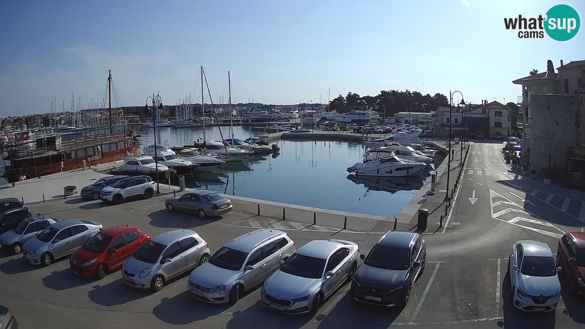 Novigrad | Porporela marina