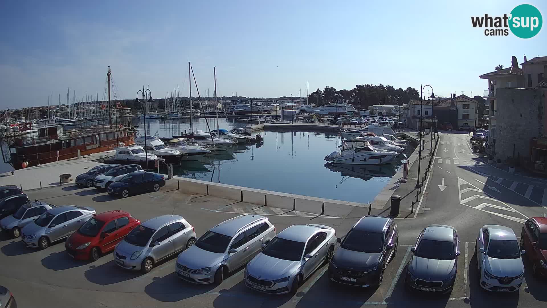 Novigrad | Porporela marina